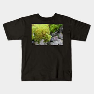 Lakes: moss and wall Kids T-Shirt